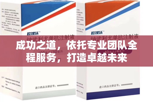 开封成功之道，依托专业团队全程服务，打造卓越未来